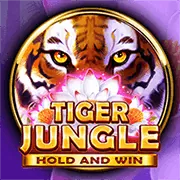 Các tính năng nổi bật của Melbet iOS App